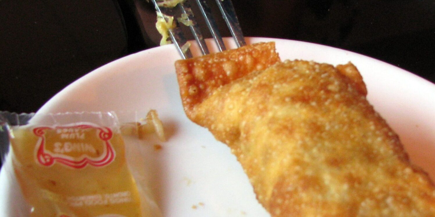 A plate of one egg roll and plum sauce